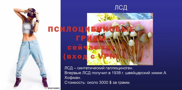 таблы Алзамай