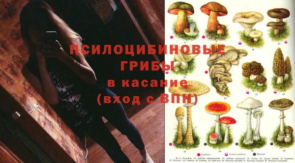 таблы Алзамай