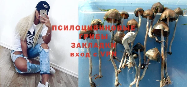 дмт Алексин